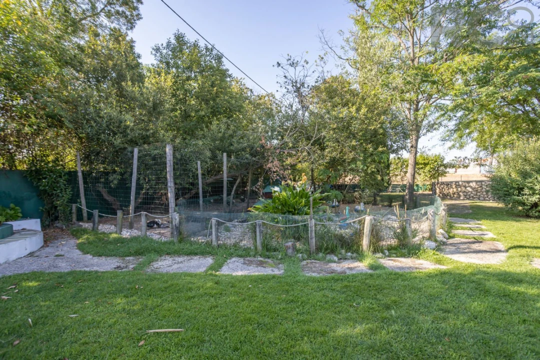 Quinta T8 para Venda em Landeira Foto 41