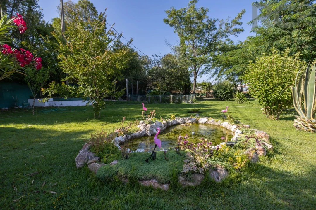 Quinta T8 para Venda em Landeira Foto 40