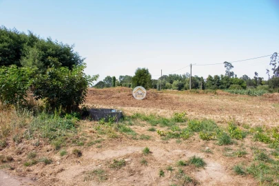 Terreno para Venda em Ovar, São João, Arada e São Vicente de Pereira Jusã