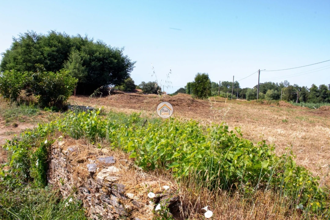 Terreno para Venda em Ovar, São João, Arada e São Vicente de Pereira Jusã Foto 8