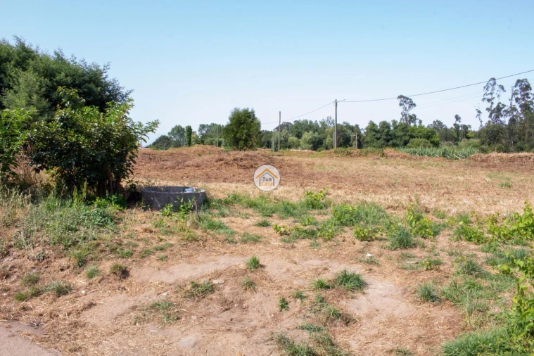 Terreno para Venda em Ovar, São João, Arada e São Vicente de Pereira Jusã Foto 5