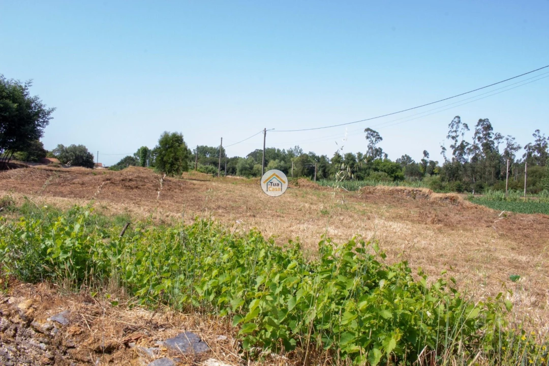 Terreno para Venda em Ovar, São João, Arada e São Vicente de Pereira Jusã Foto 2