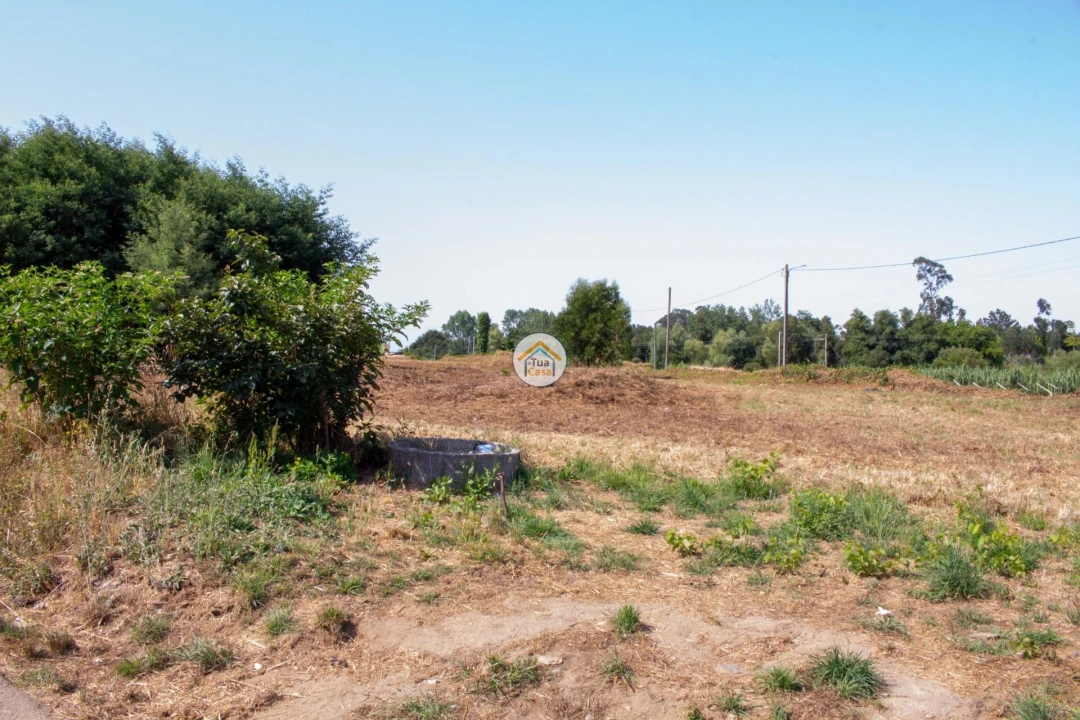 Terreno para Venda em Ovar, São João, Arada e São Vicente de Pereira Jusã Foto 4