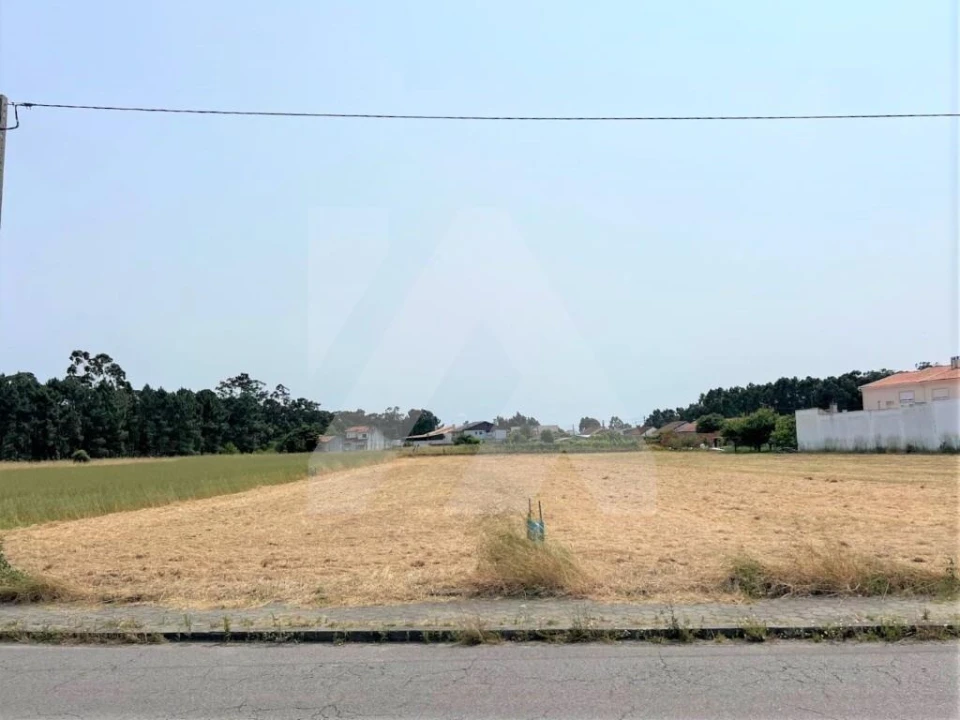 Terreno para Venda em Esgueira Foto 3