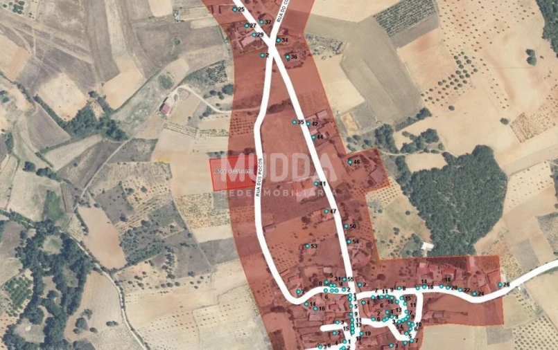 Terreno para Venda em Baçal Foto 8