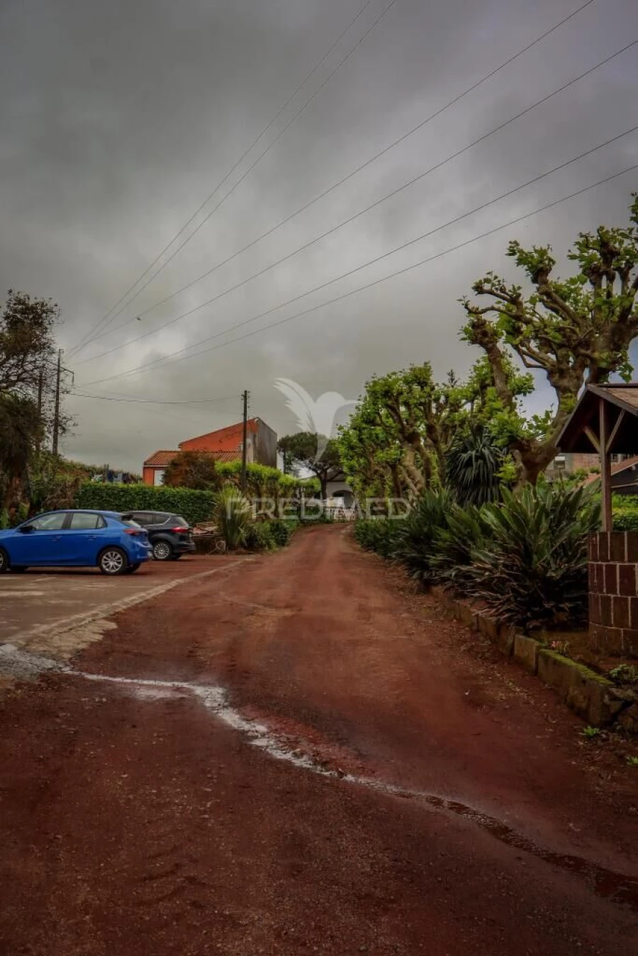 Quinta T9 para Venda em Ribeira Seca Foto 6