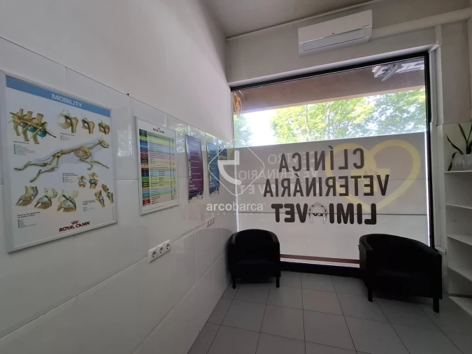 Loja para Arrendamento em Subportela, Deocriste e Portela Susã Foto 9