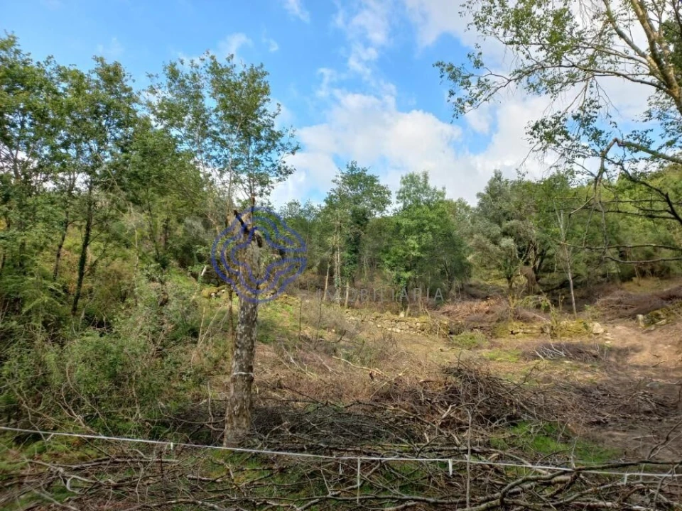 Terreno para Venda em Chorense e Monte Foto 4