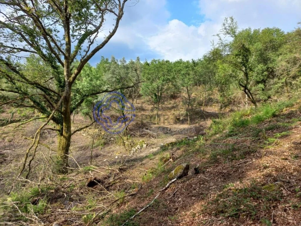 Terreno para Venda em Chorense e Monte Foto 10