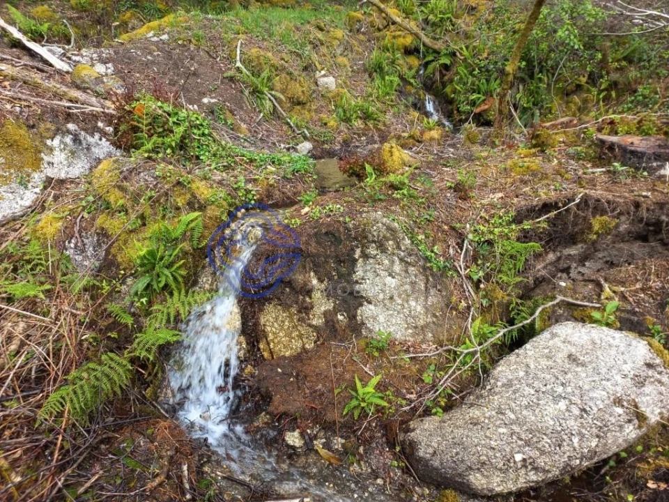 Terreno para Venda em Chorense e Monte Foto 7