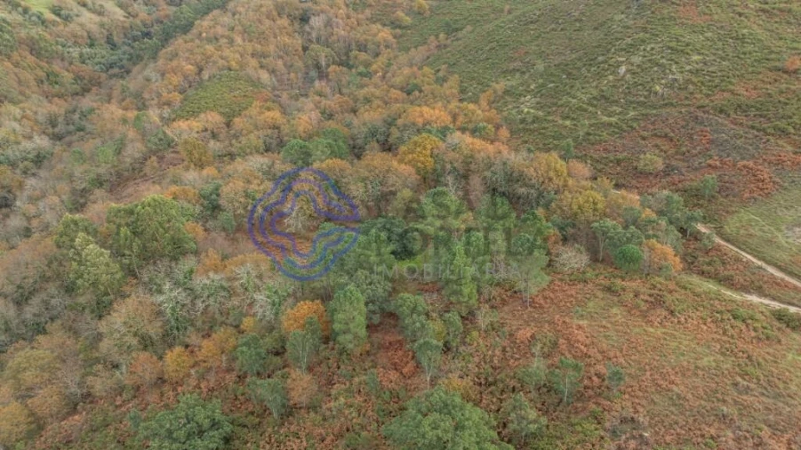 Terreno para Venda em Chorense e Monte Foto 21