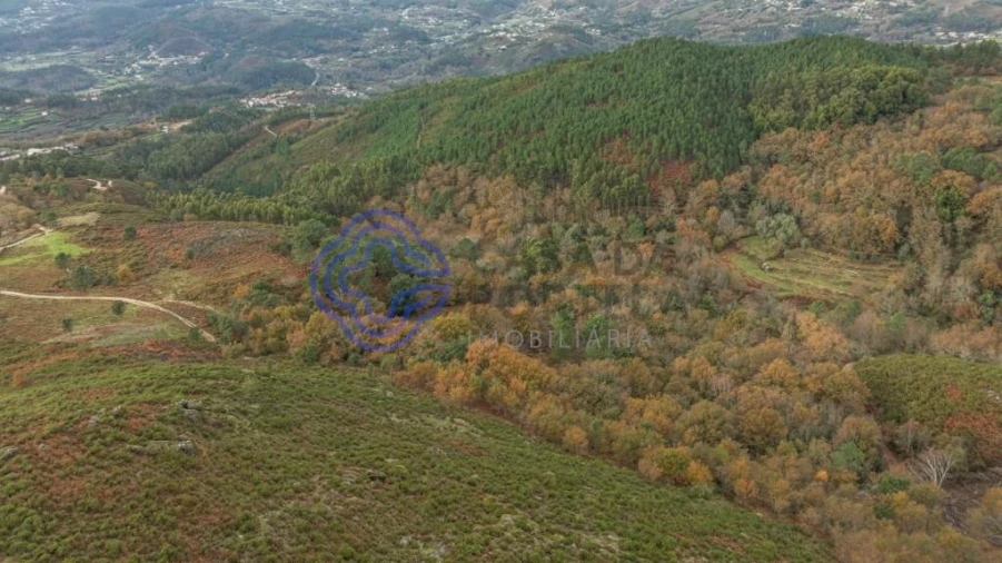 Terreno para Venda em Chorense e Monte Foto 27