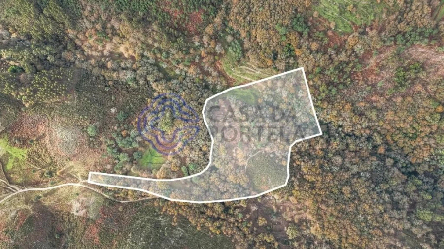 Terreno para Venda em Chorense e Monte Foto 12