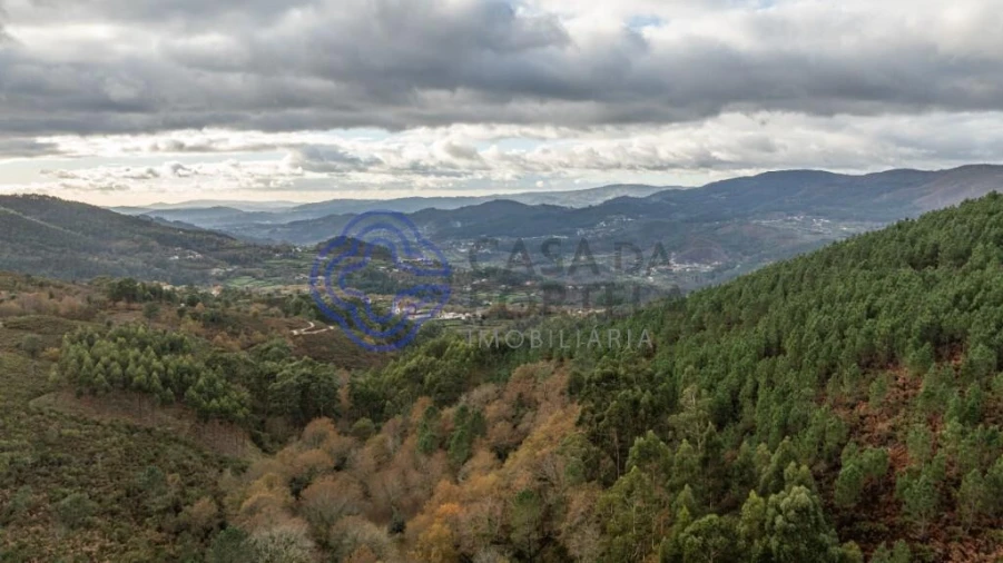 Terreno para Venda em Chorense e Monte Foto 23