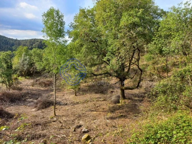 Terreno para Venda em Chorense e Monte Foto 9