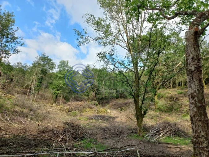 Terreno para Venda em Chorense e Monte