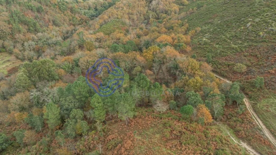 Terreno para Venda em Chorense e Monte Foto 18