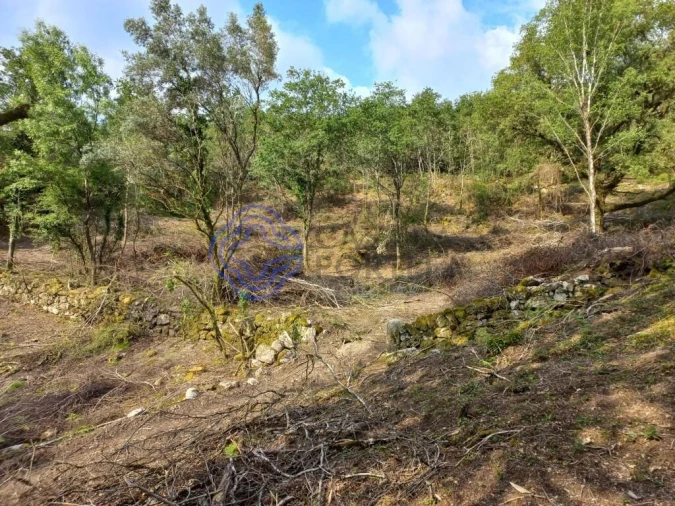 Terreno para Venda em Chorense e Monte Foto 3