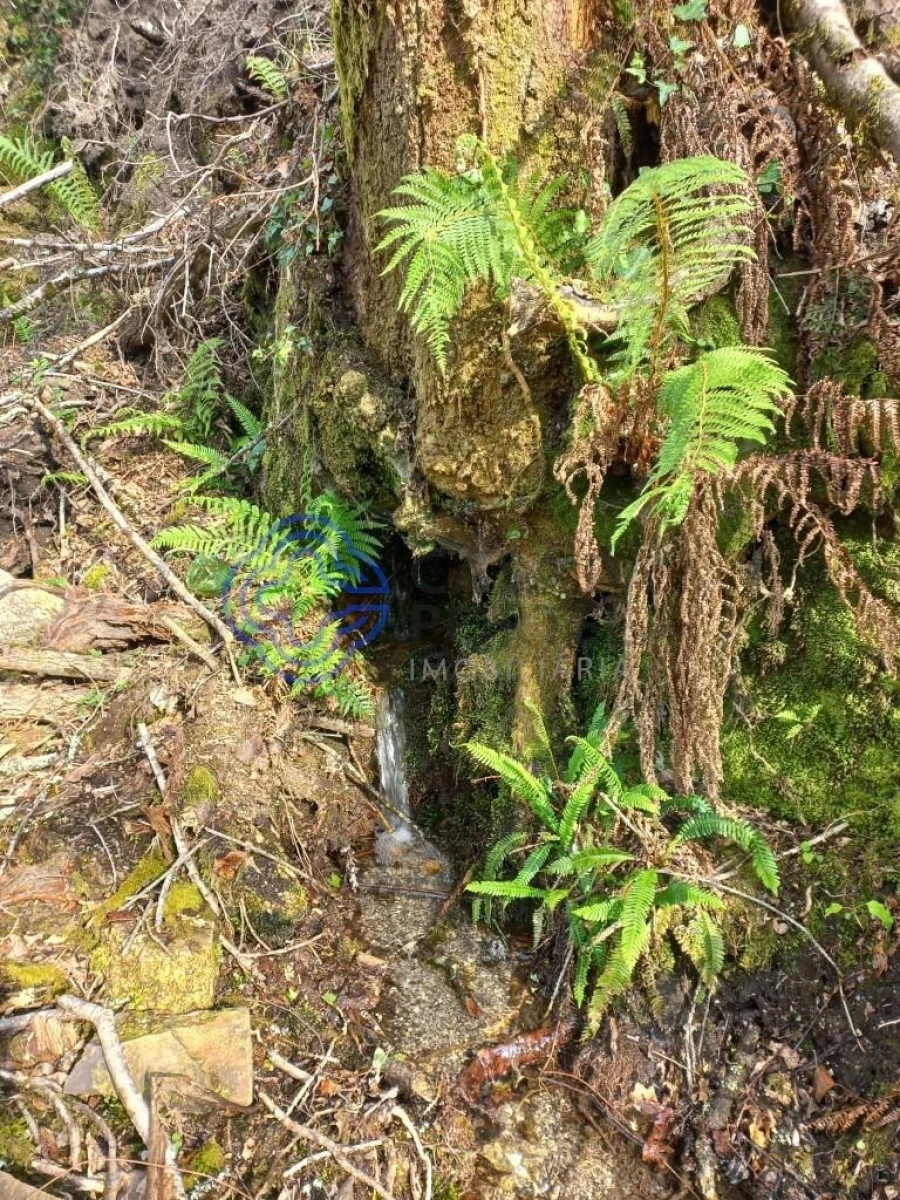 Terreno para Venda em Chorense e Monte Foto 5
