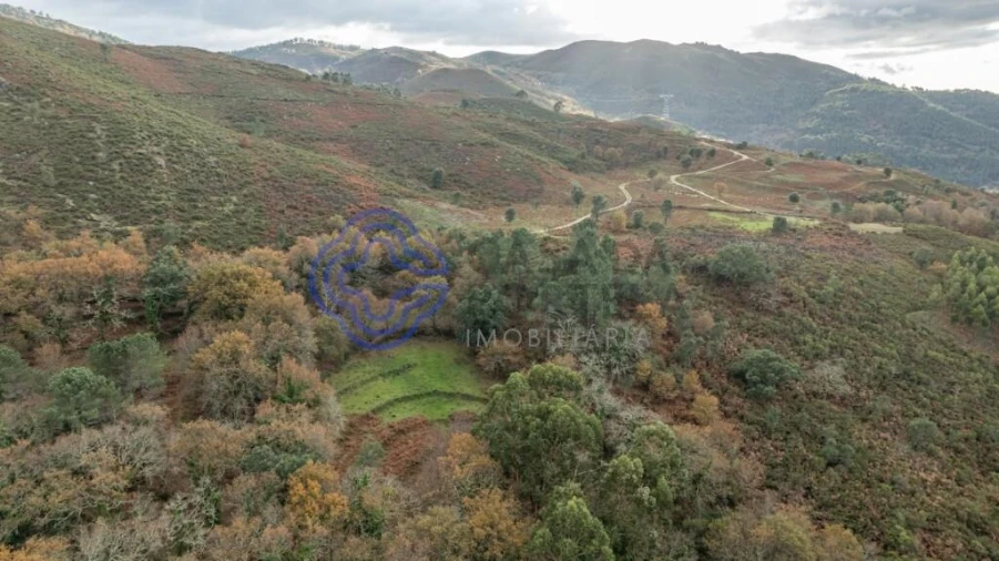 Terreno para Venda em Chorense e Monte Foto 22