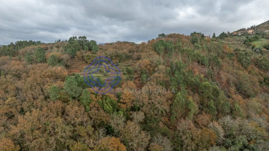 Terreno para Venda em Chorense e Monte Foto 24