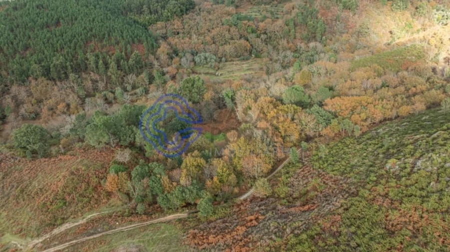 Terreno para Venda em Chorense e Monte Foto 13