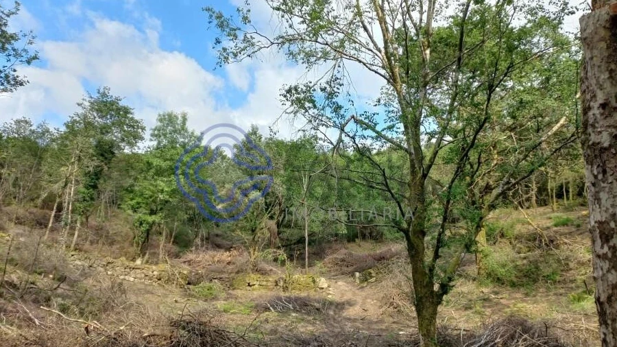 Terreno para Venda em Chorense e Monte