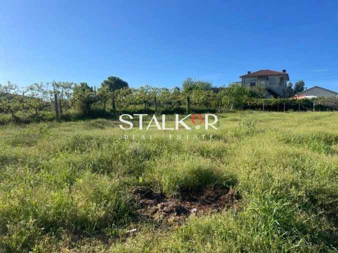 Terreno para Venda em Argoncilhe Foto 6