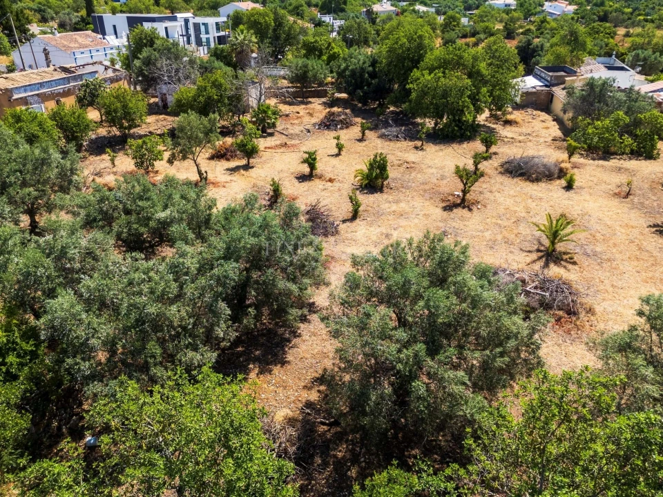 Terreno para Venda em Loule (São Clemente) Foto 9