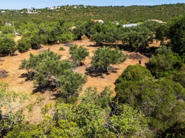 Terreno para Venda em Loule (São Clemente)