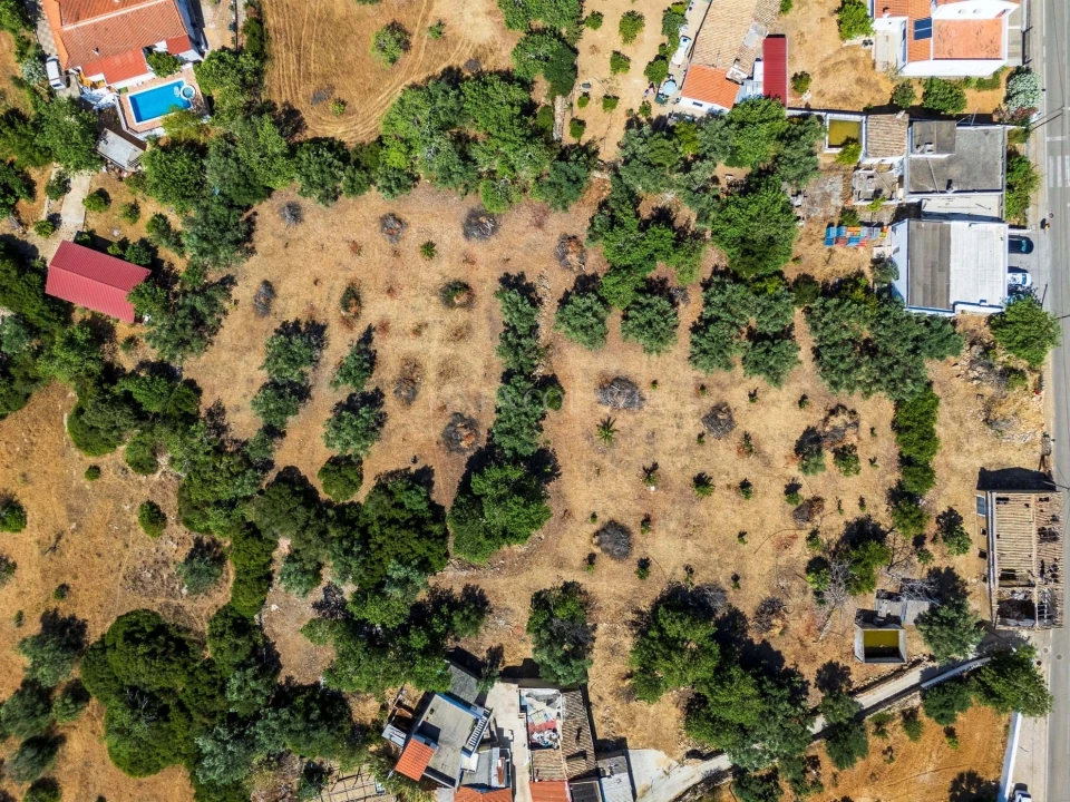 Terreno para Venda em Loule (São Clemente) Foto 2