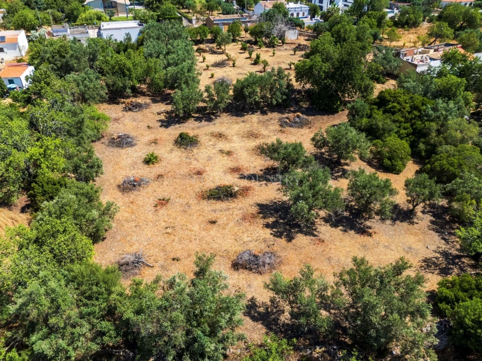Terreno para Venda em Loule (São Clemente) Foto 5
