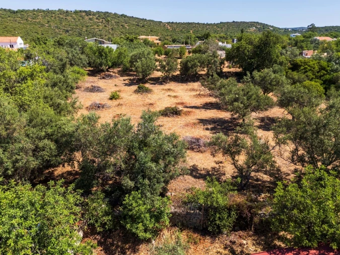 Terreno para Venda em Loule (São Clemente) Foto 6