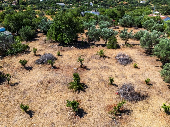 Terreno para Venda em Loule (São Clemente) Foto 10