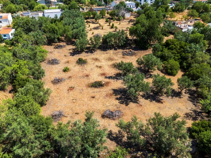 Terreno para Venda em Loule (São Clemente) Foto 5