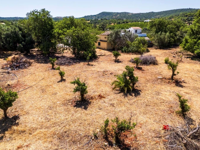 Terreno para Venda em Loule (São Clemente) Foto 7