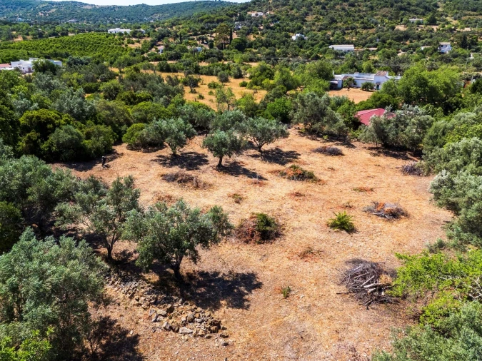 Terreno para Venda em Loule (São Clemente) Foto 11