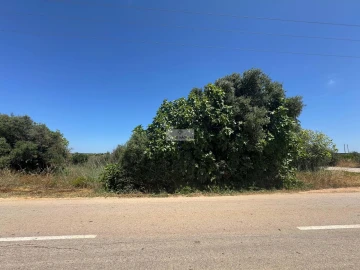 Terreno para Venda em Luz