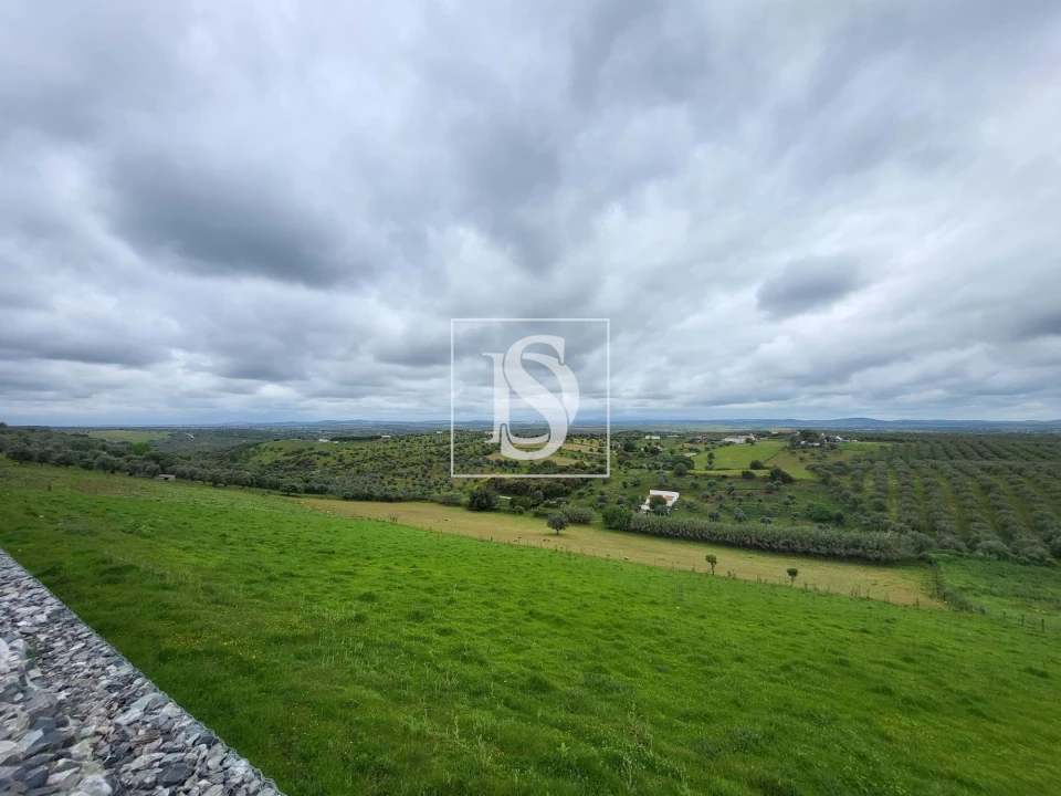 Moradia T1 para Venda em Fronteira Foto 1