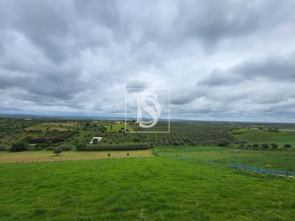 Moradia T1 para Venda em Fronteira Foto 4