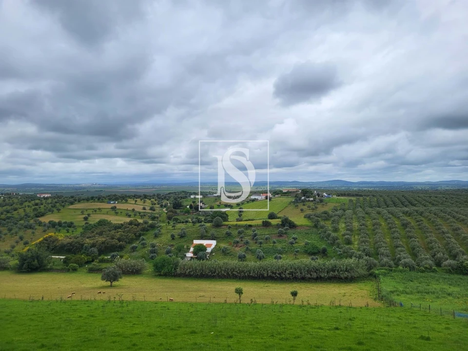 Moradia T1 para Venda em Fronteira Foto 2