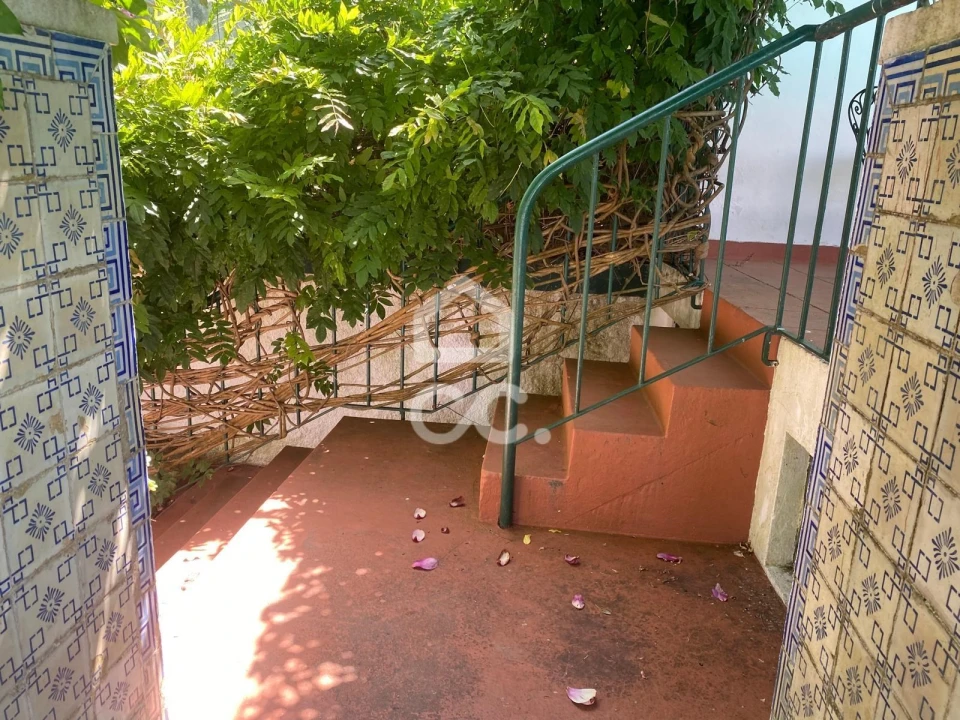 Quinta T32 para Venda em Seixas Foto 47