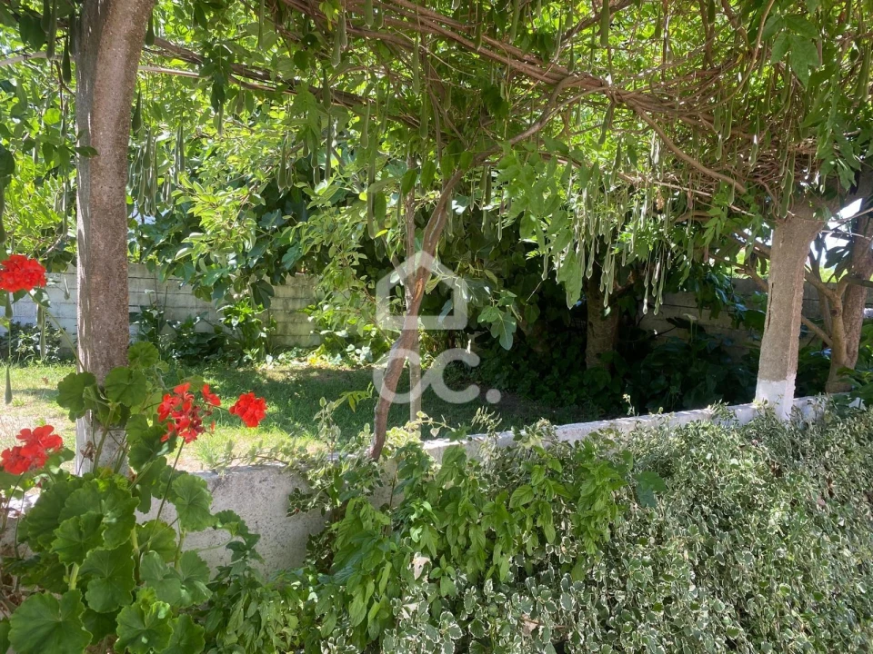 Quinta T32 para Venda em Seixas Foto 139