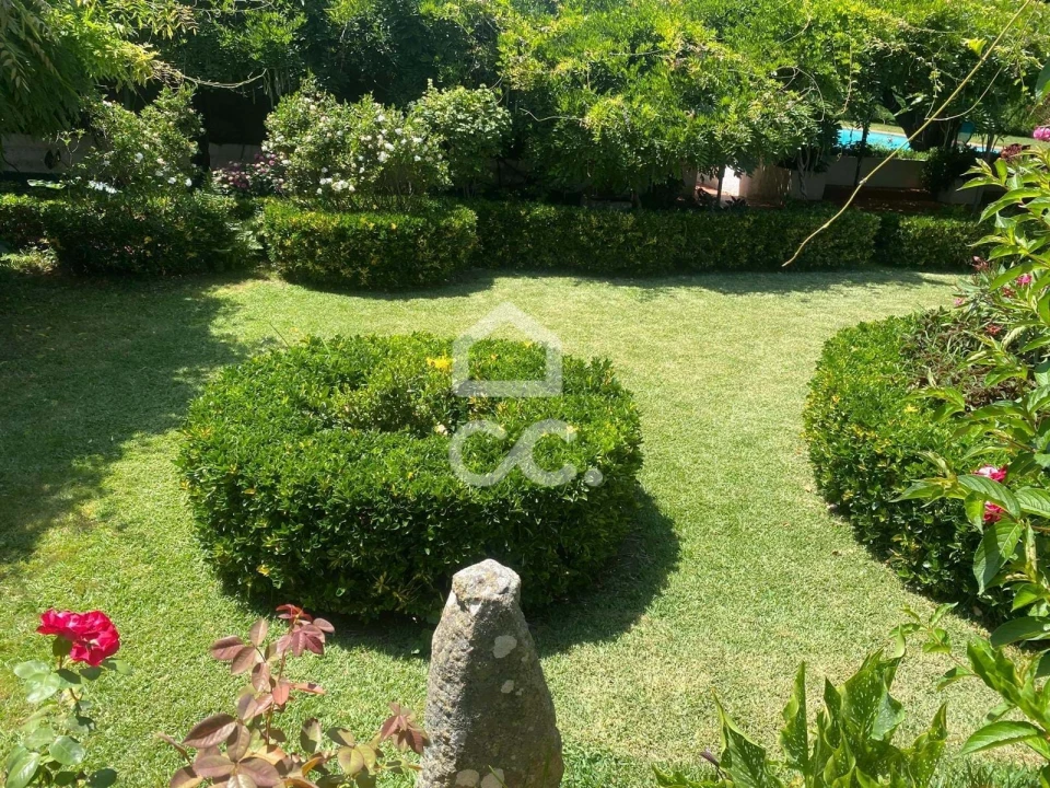 Quinta T32 para Venda em Seixas Foto 150