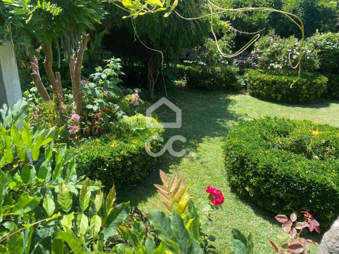 Quinta T32 para Venda em Seixas Foto 4