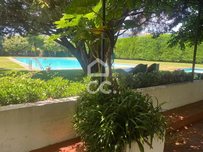 Quinta T32 para Venda em Seixas Foto 140