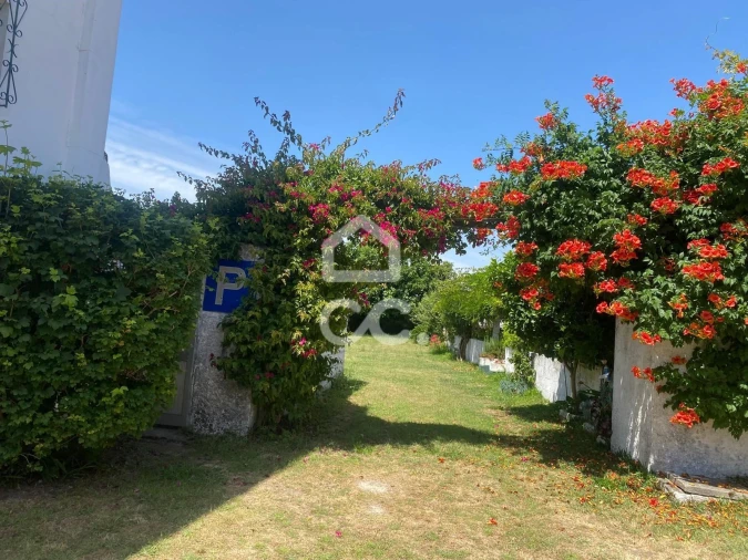 Quinta T32 para Venda em Seixas Foto 109