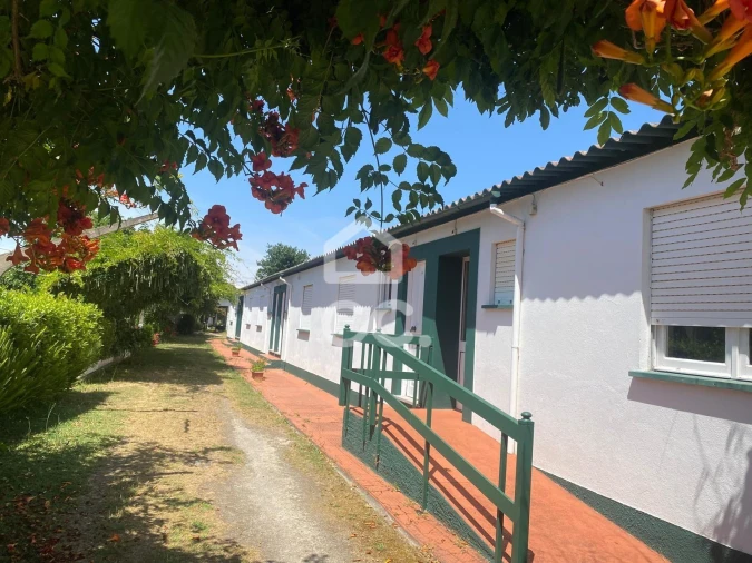 Quinta T32 para Venda em Seixas Foto 9