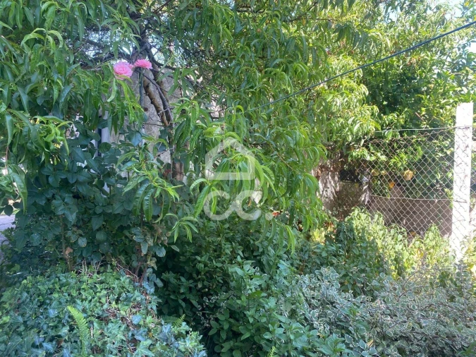 Quinta T32 para Venda em Seixas Foto 81