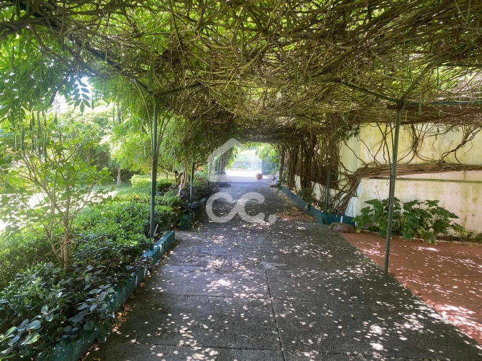 Quinta T32 para Venda em Seixas Foto 49